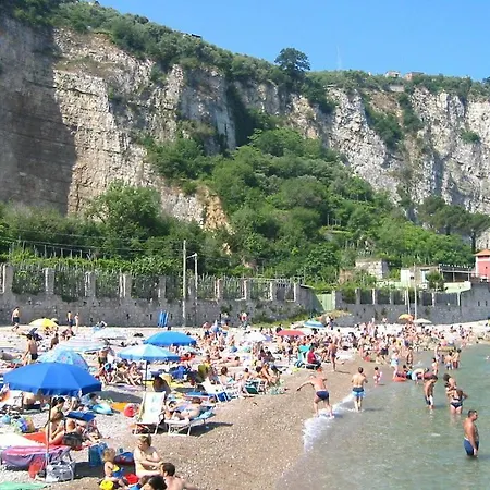 Federica *